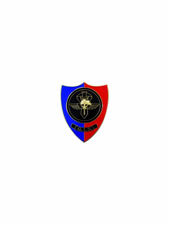 Distintivo G.i.s. Carabinieri 