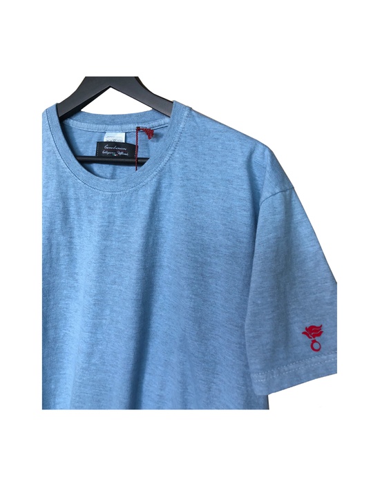 T-shirt Azzurro C/targh + Fiamma Flock 2